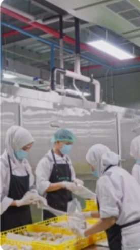 Pempek production with machines
